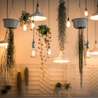 The Home Squad: Ambient Lighting