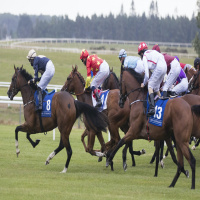 Students ban promotion of horse racing – are they right?