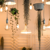 The Home Squad: Getting the right light