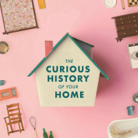 The Pod Squad: The Curious History Of Your Home