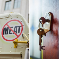 Vegans are more compassionate landlords - Activist