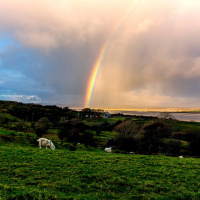 Are Irish people obsessed with the weather?