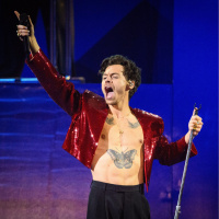 Harry Styles concertgoer felt misled by sale of platinum tickets