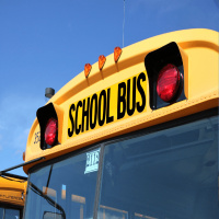 Thousands of families waiting to hear if children have places on school buses