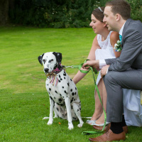 Would you include your dog in your wedding?