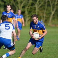 Calls to rename GAA clubs named after slavery supporter ‘will blow over’