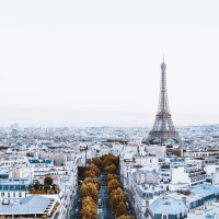 Can we learn from Paris being car-free?