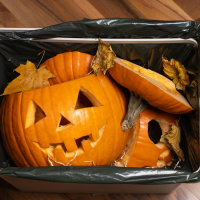 Has Halloween become too wasteful?
