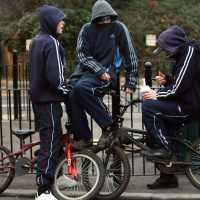 Parents have to be accountable for their childrens crimes