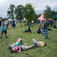 Are Festivals overpriced?
