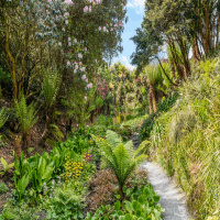 Are smaller gardens the answer to the housing crisis?