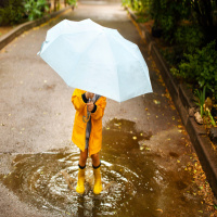 Where is the Summer weather?