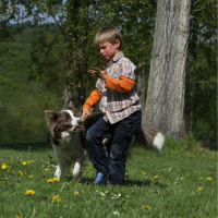 Things you cant control can happen - Leaving kids and dogs alone together