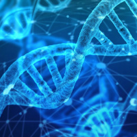 Could ‘bio-hacking’ be the secret to a better body?