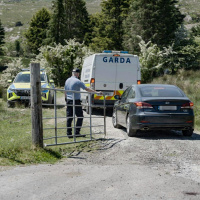 Why are people taking selfies at Michael Gaine’s farm?