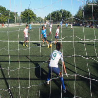 Should every child have to do sport?