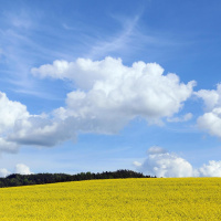 Should we get time off work when it’s sunny?