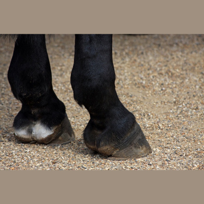 Highlights From Lunchtime Live