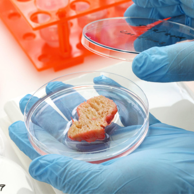 Highlights From Lunchtime Live