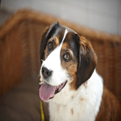 Highlights From Lunchtime Live