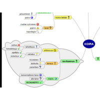 Ruokinnan idea: 02. Ravitsemus