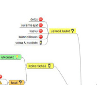 Ruokinnan idea: 11. Uskot ja luulot