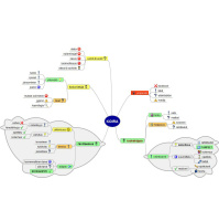 Ruokinnan idea: 01. Intro