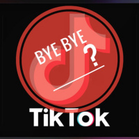 Bye Bye Tik ToK