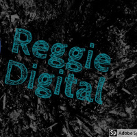 Reggie Digital 2.0 (episode 9)