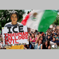 The Anti-ICE Protests: Orchestrated Chaos in L.A.
