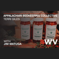 Episode 148 – Terri Giles – Appalachian Beekeeping Collective