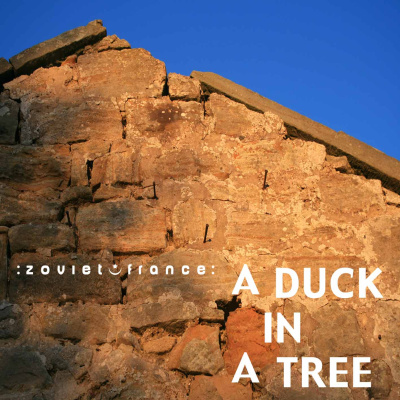 A Duck In A Tree