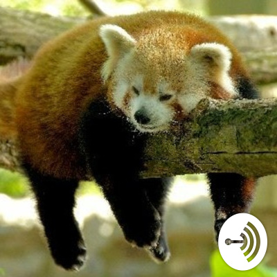 #savetheredpandas