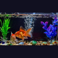 Fully Charged - Weds 4th May 2022