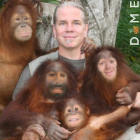 DOME # 10 Just A Lil Dome