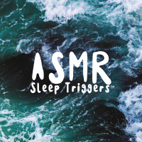 Big Ocean Sleep Sound (Deep Sleep Trigger)