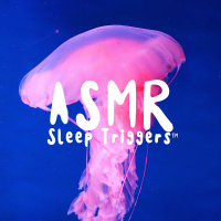 Underwater Sleep Sound Story (ASMR Sleep Triggers)