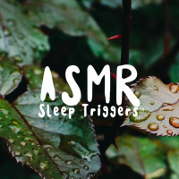 Sleep Meditation of Jungle Ambience (Rain Sounds Week)