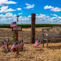 #081 David Cole Lang