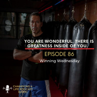 Episode 86 You Are Wonderful. There Is Greatness Inside Of You.