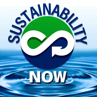Sustainability Now - Exploring Technologies And Paradigms To Shape A World That Works