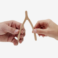 Give the Wishbone a Tug!