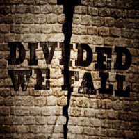 Divided We Fall