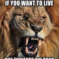 Run Towards Your Fears