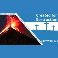 Created for Destruction | Daily Walk 334