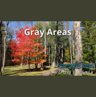 Gray Areas | Daily Walk 69