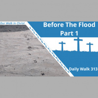 Before the Flood Part 1 | Daily Walk 313