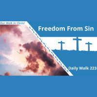 Freedom From Sin | Daily Walk 223