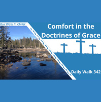 The Comforts in the Doctrines of Grace | Daily Walk 342
