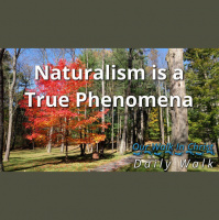 Naturalism Is Real | Daily Walk 73